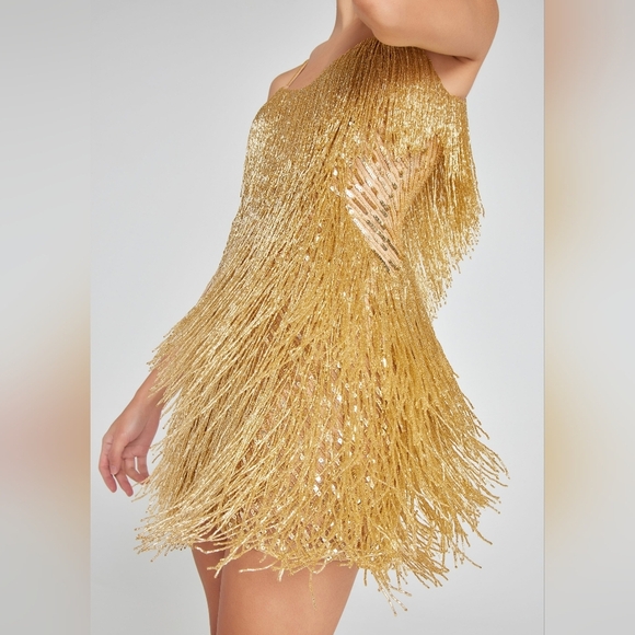 NWT Nadine Merabi Tammy Gold Fringe Beaded Mini Dress Size 8 - Picture 10 of 12